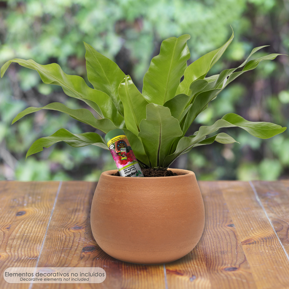 Agua Gelificada Para Riego Con Dispensador 300 ml. - Imagen 5