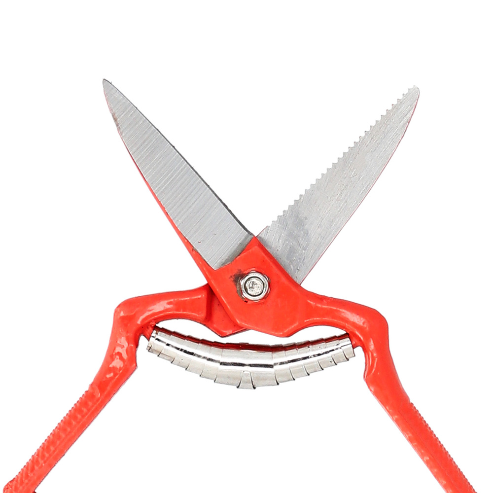 Tijeras Vendimiar Forjada Recta 1 Mano 19 cm. - Imagen 2