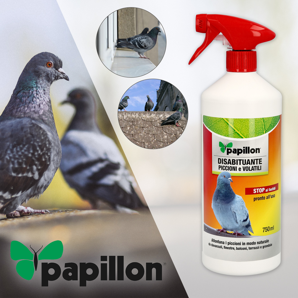 Repelente Palomas y Pajaros (750 ml.) Repelente / Ahuyentador aves, repelente pajaros, ahuyentador aves ventanas, tejados, etc. - Imagen 2