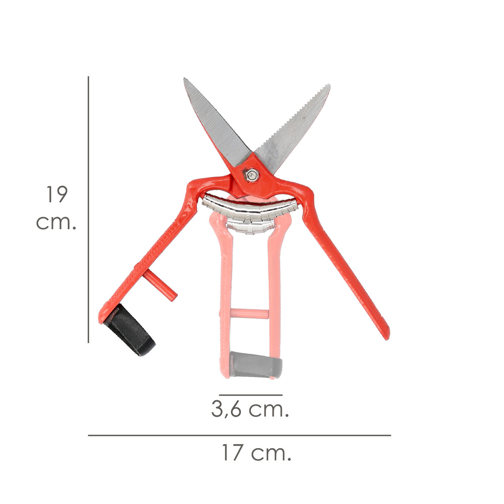 Tijeras Vendimiar Forjada Recta 1 Mano 19 cm. - Imagen 3