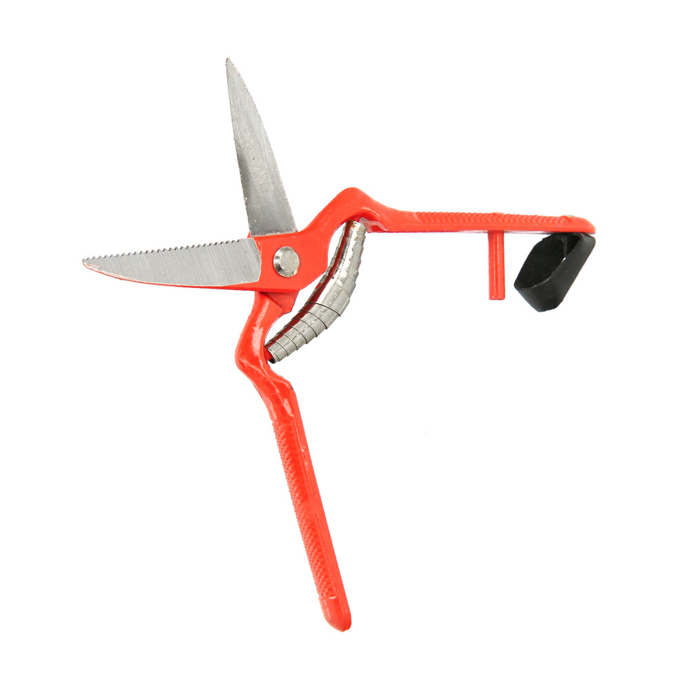 Tijeras Vendimiar Forjada Recta 1 Mano 19 cm. - Imagen 4