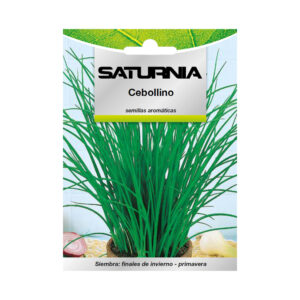 Semillas Aromaticas Cebollino (1 gramo) Horticultura, Horticola, Semillas Huerto.